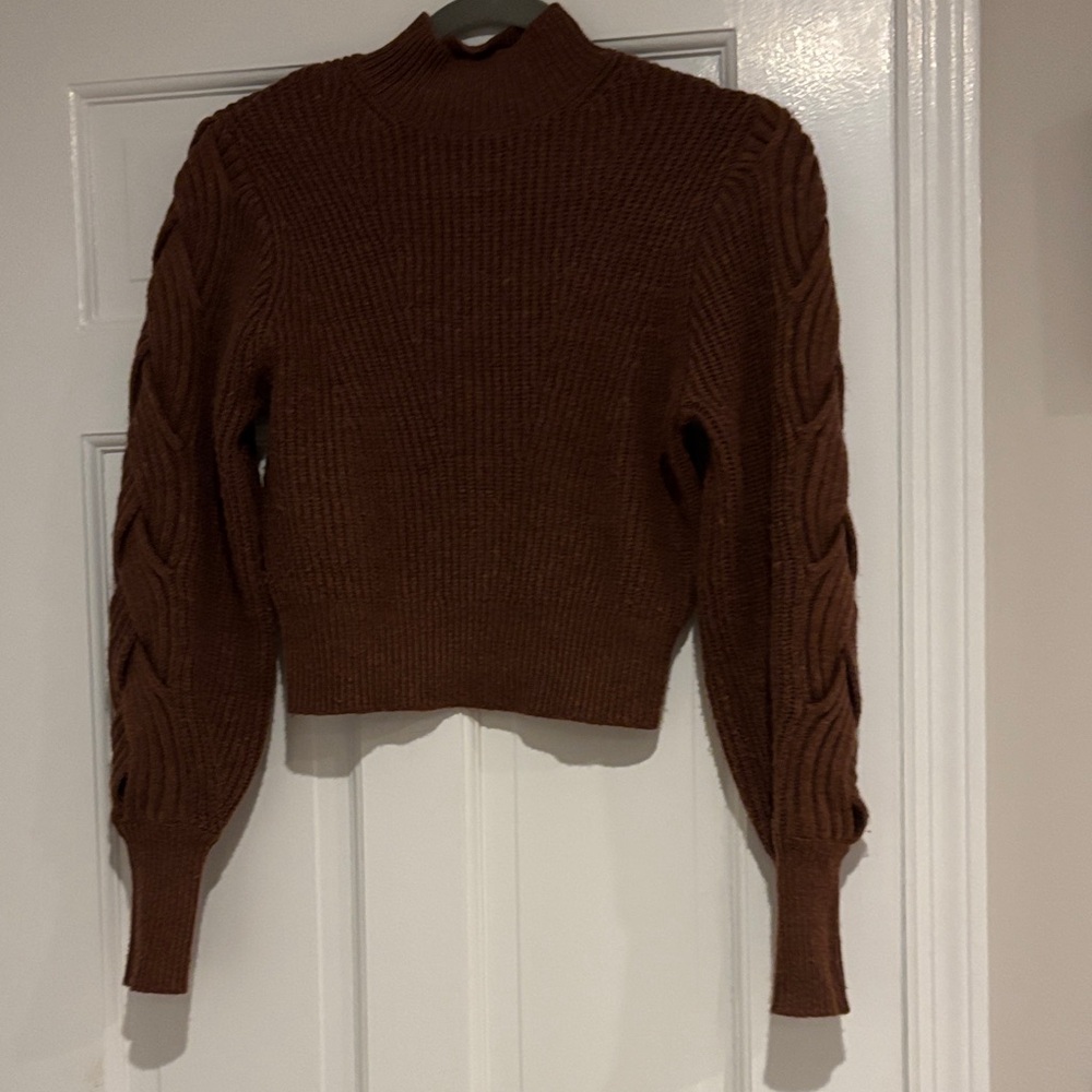 Express Chocolate Turtleneck Sweater